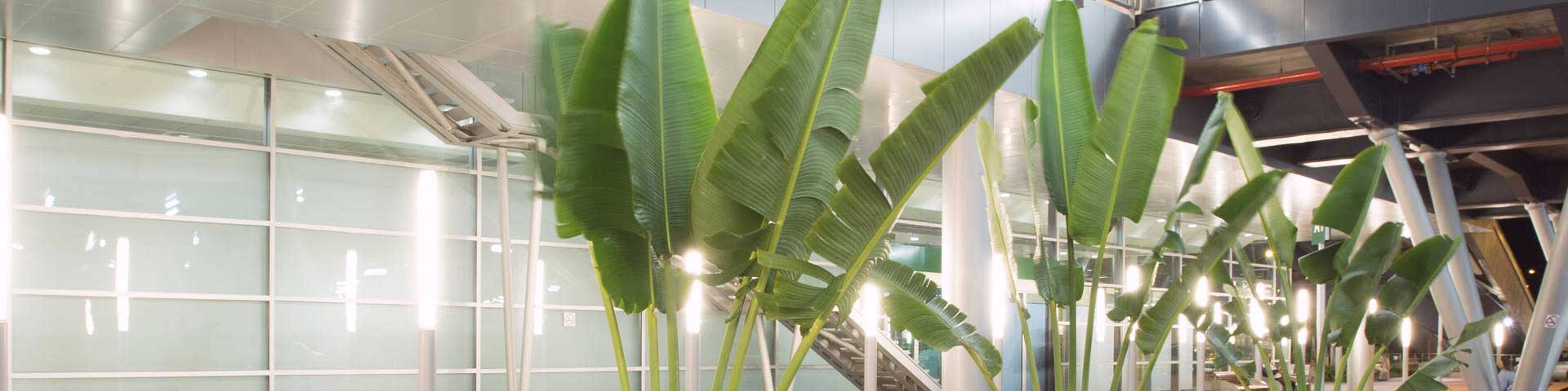 Atol - Tours Operators